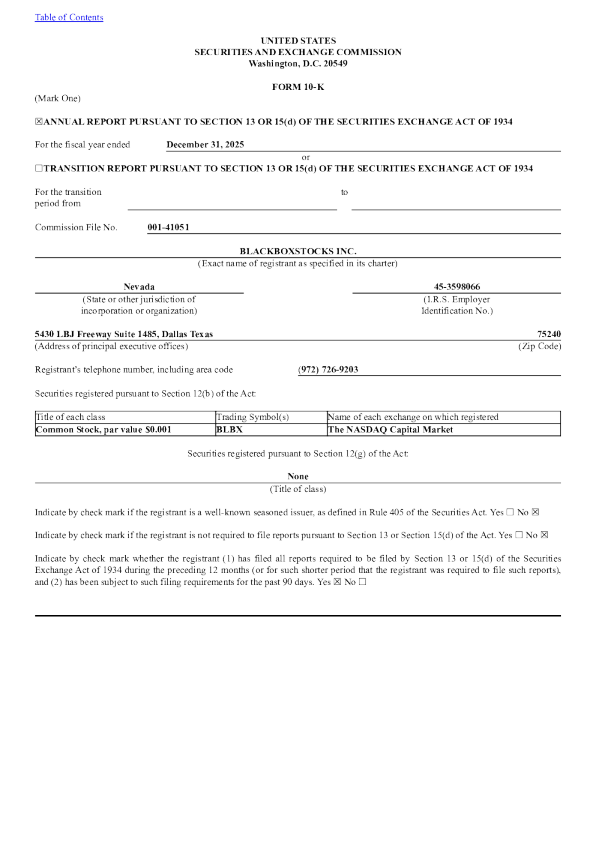 Blackboxstocks Inc 2025年度报告