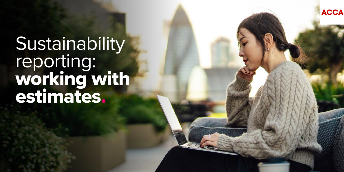 可持续发展报告：使用估算值
