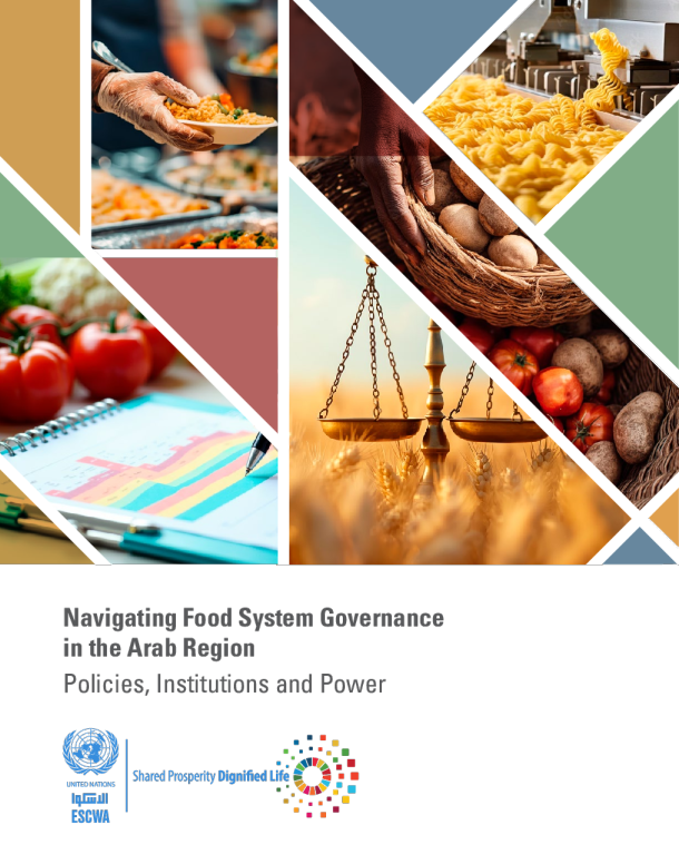 阿拉伯区域粮食系统治理:政策、机构与权力