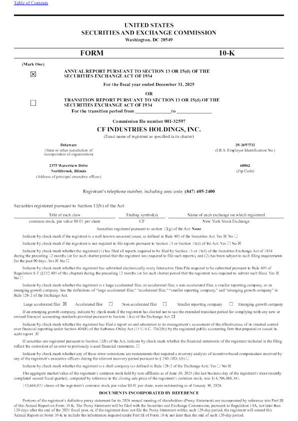 CF实业 2025年度报告