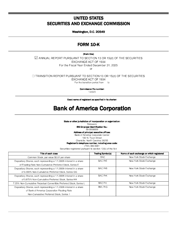 美国银行 2025年度报告