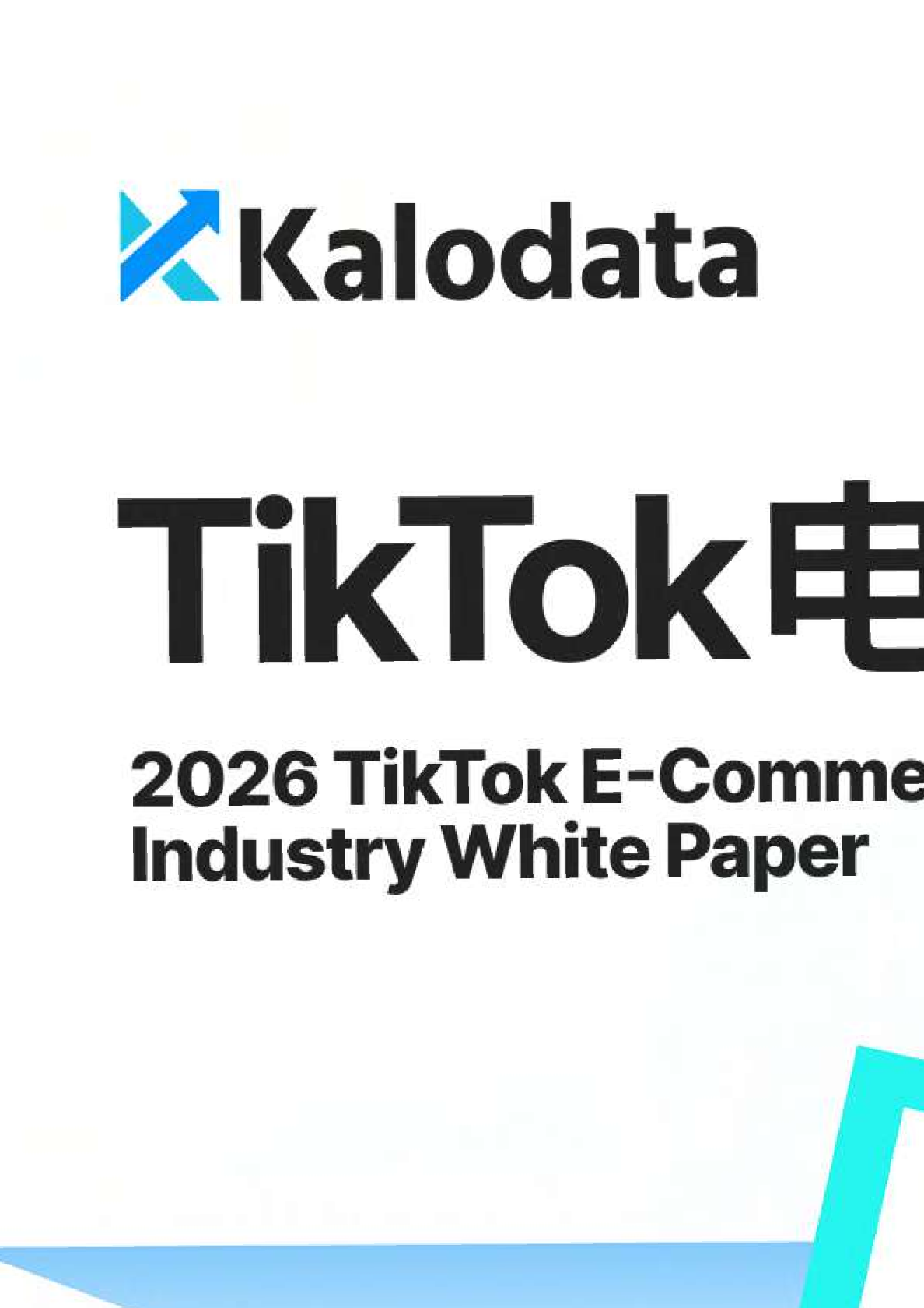 2026 TikTok电商行业白皮书