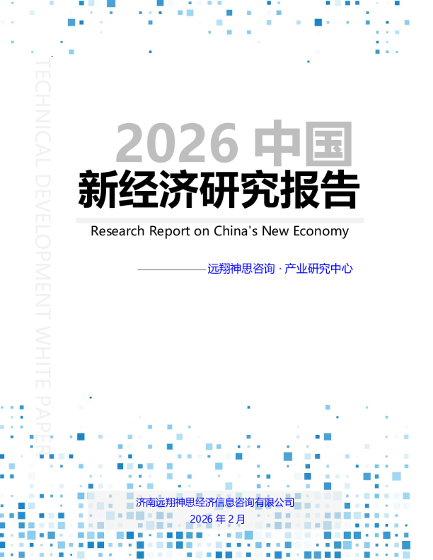2026中国新经济研究报告