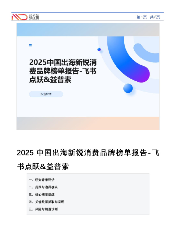 2025中国出海新锐消费品牌榜单报告-飞书点跃&益普索