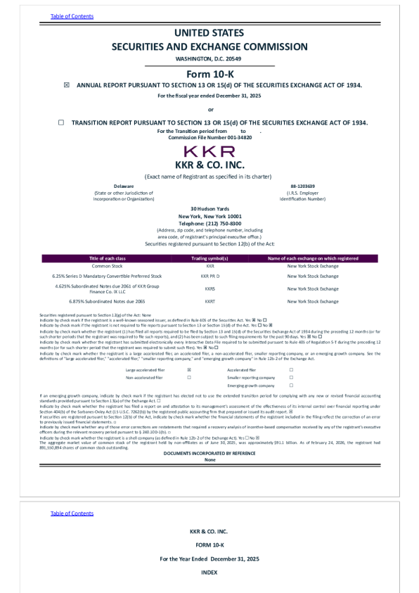 KKR & Co Inc 2025年度报告