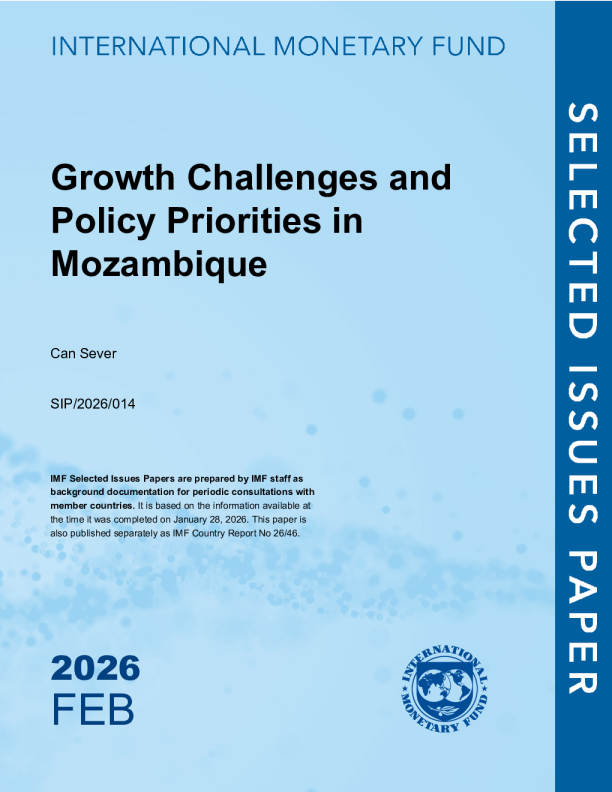 莫桑比克的增长挑战和政策重点