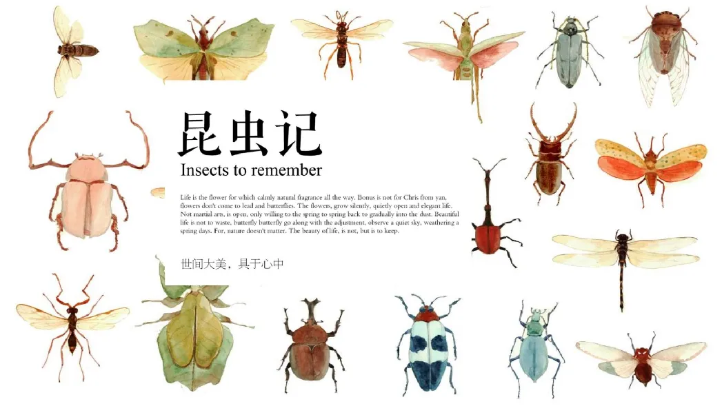 昆虫记研学知识分享