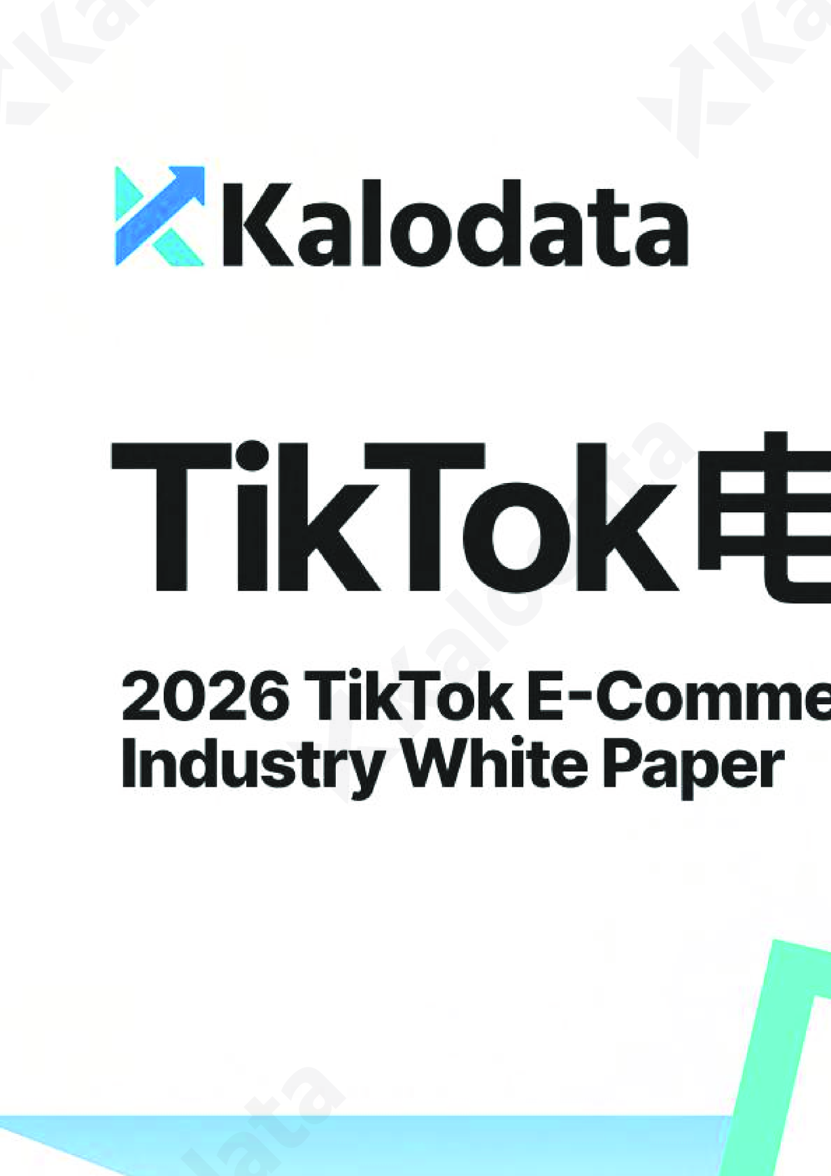 2026TikTok电商白皮书