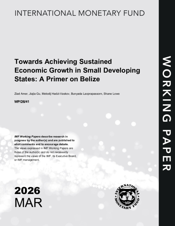 实现小发展中国家的持续经济增长：伯利兹入门（英）