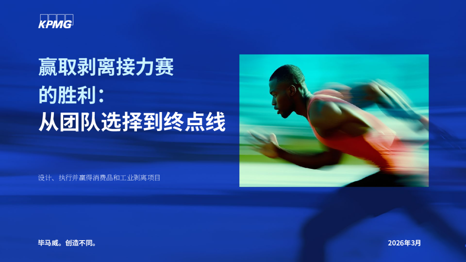 赢取剥离接力赛的胜利：从团队选择到终点线 设计、执行并赢得消费品和工业剥离项目