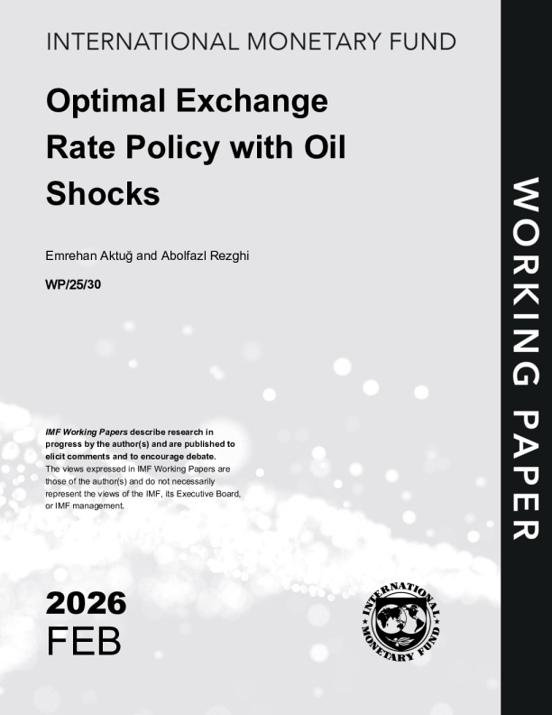 石油冲击下的最优汇率政策(英)2026