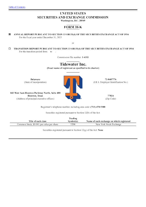 潮水海运 2025年度报告