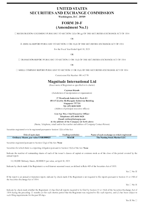 Magnitude International Ltd 2026年年度报告和过渡报告