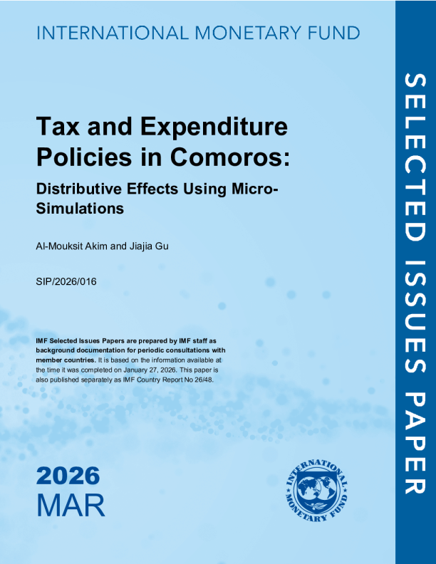 科摩罗的税收和支出政策：微观模拟的分配效应