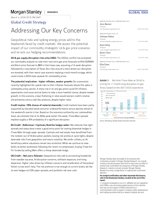 全球信贷策略：解决我们的主要担忧