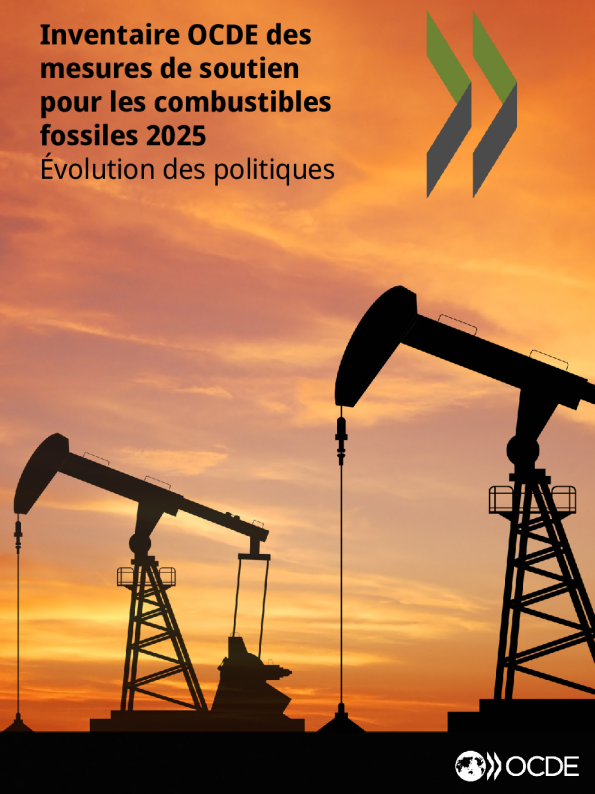 2025年可燃性化石燃料供应措施OCDE发明：政治变革