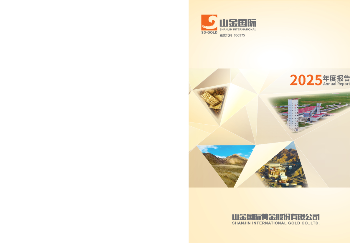 山金国际：2025年年度报告