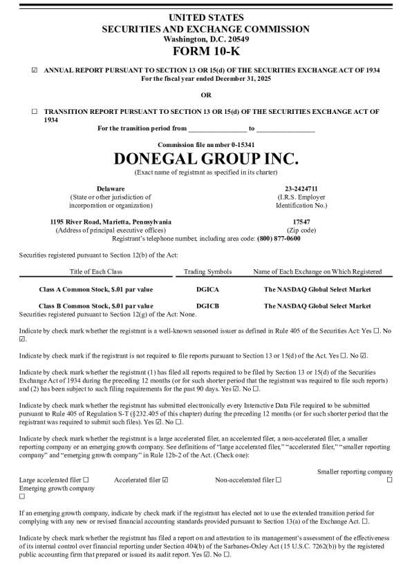 多尼戈尔股份-A 2025年度报告