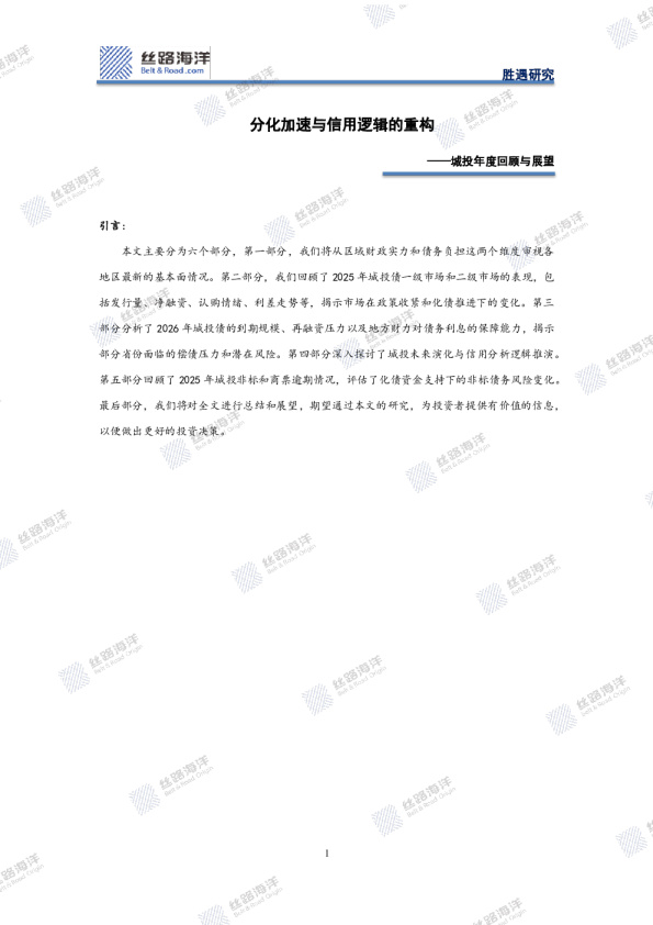城投年度回顾与展望：分化加速与信用逻辑的重构