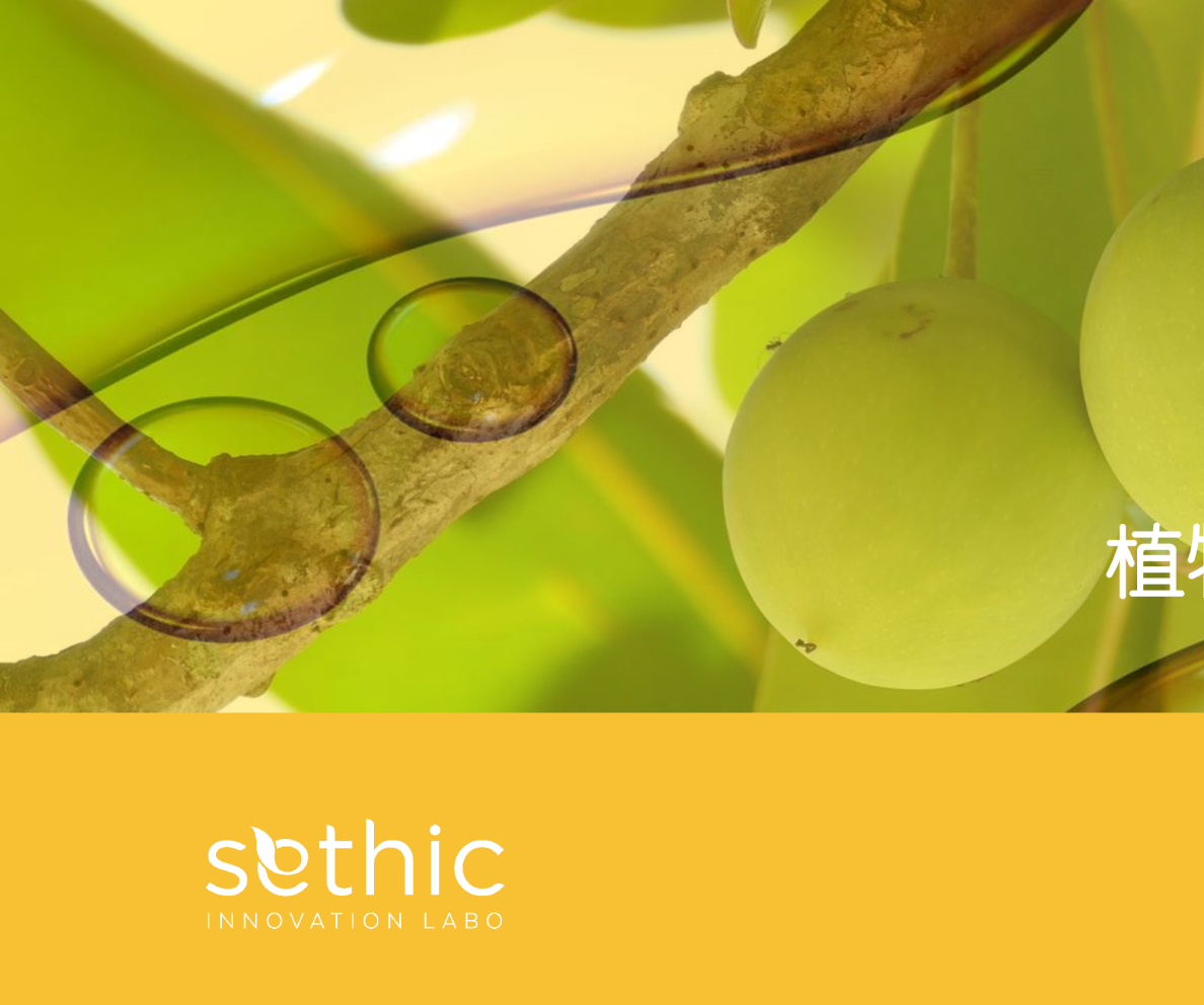 在天然与有效之间：植物原料安全与功效的平衡艺术