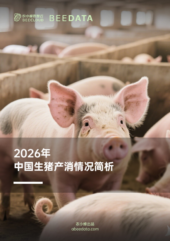 农小蜂-2026年中国生猪产消情况简析