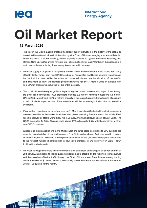 石油市场报告-2026年3月