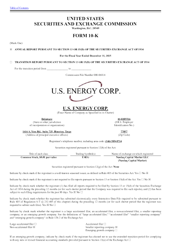 美国能源 2025年度报告
