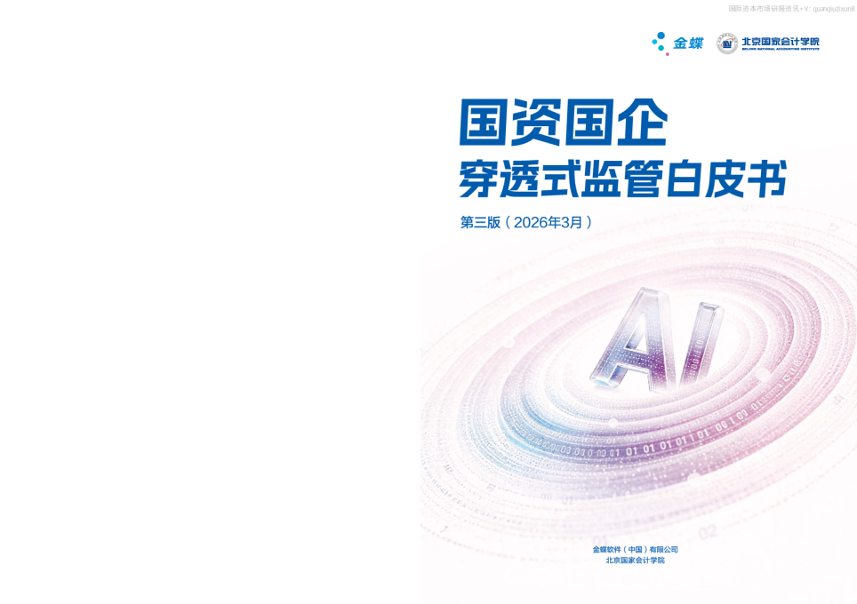 国资国企穿透式监管白皮书：第三版（2026年3月）