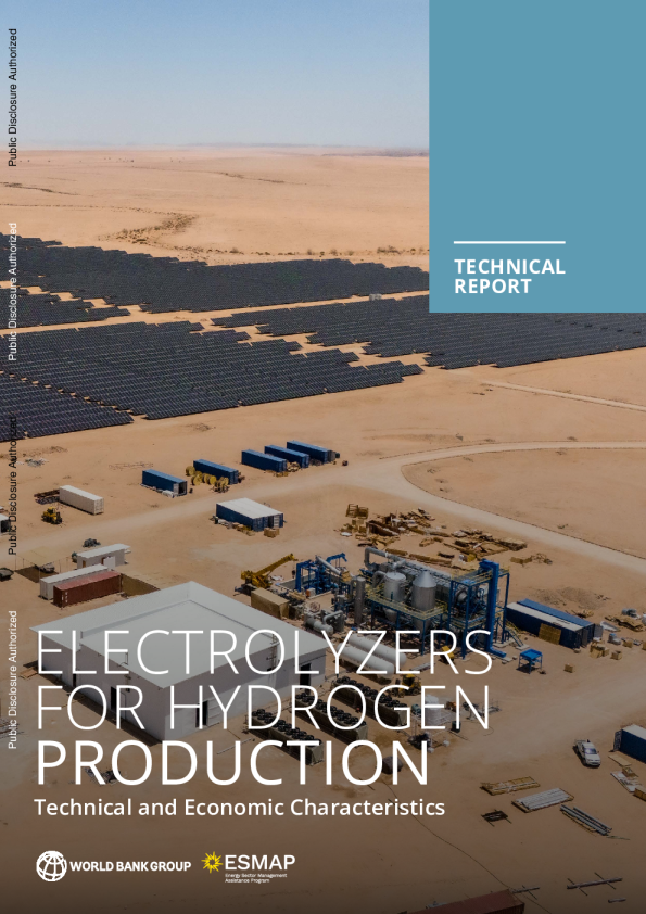 制氢用电解槽的技术经济特性（英）2026