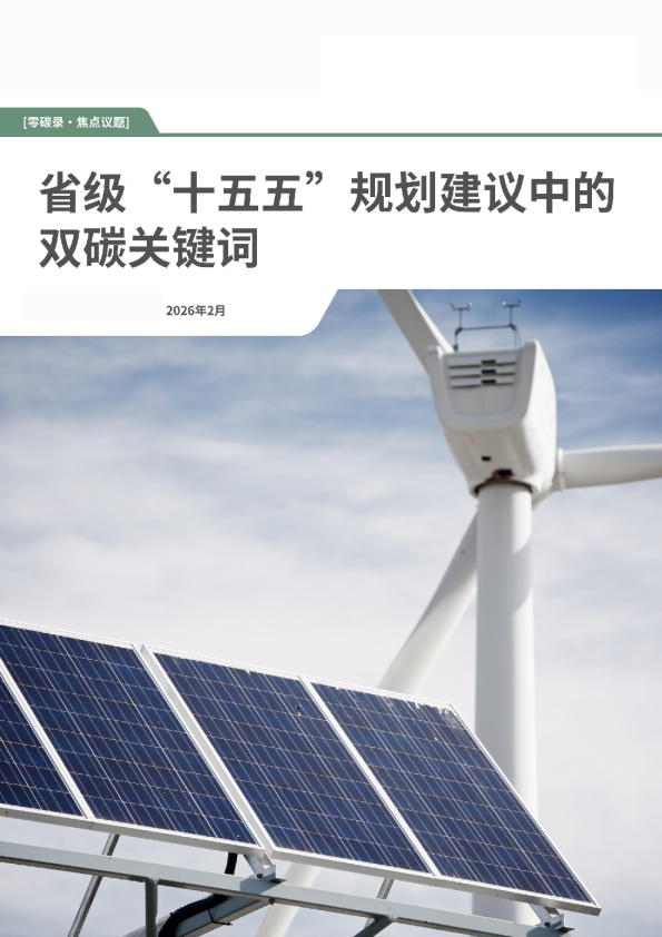 省级“十五五”规划建议中的双碳关键词