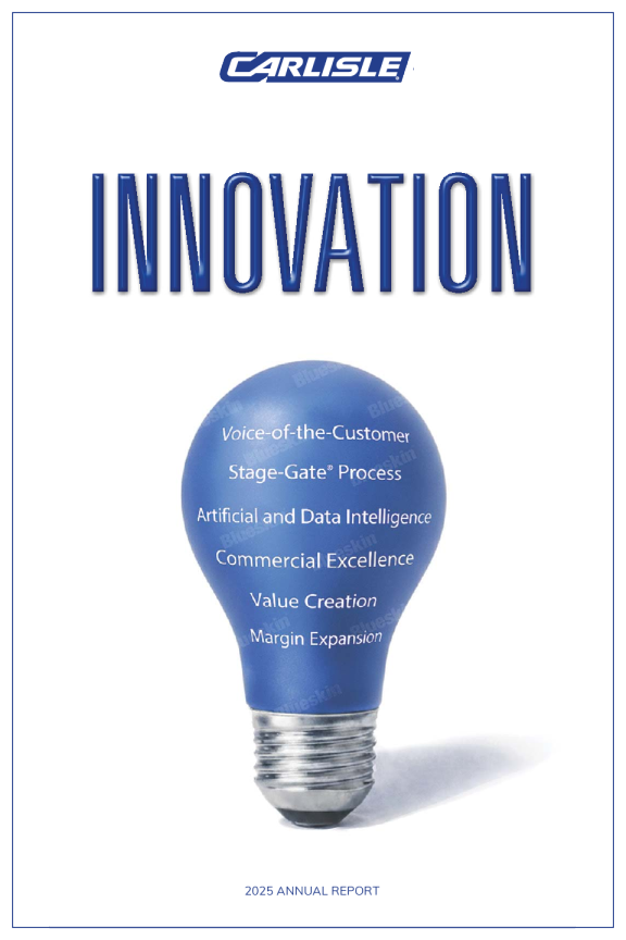 卡莱尔伙伴 2025年度报告