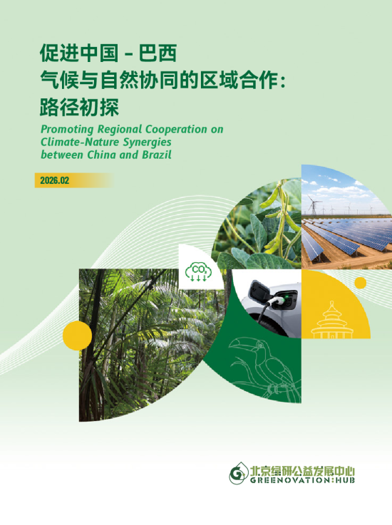 促进中国-巴西气候与自然协同的区域合作：路径初探
