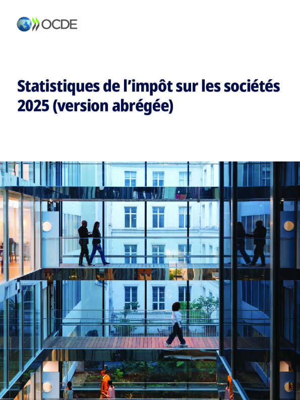 2025年社会影响统计（abrégée版）