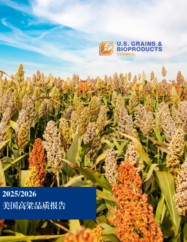 2025/2026美国高粱品质报告