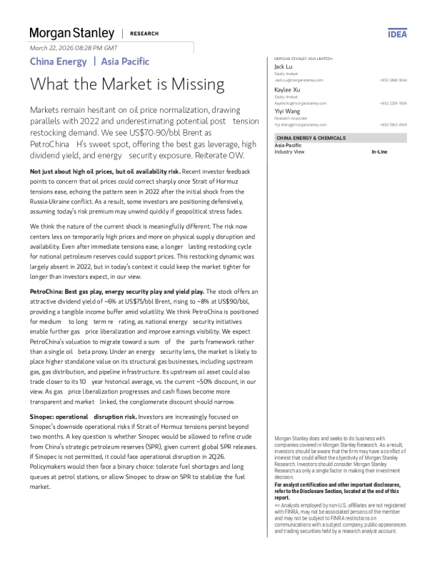 中国能源：市场所遗漏的因素