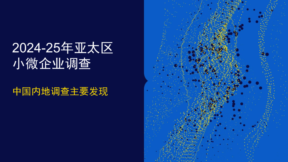 202425年亚太区小微企业调查
