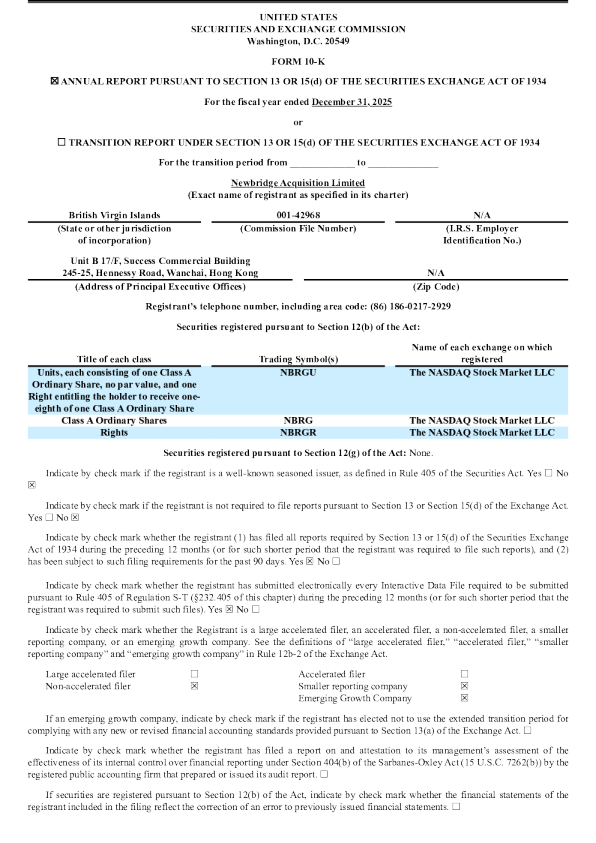 Newbridge Acquisition Ltd-A 2025年度报告