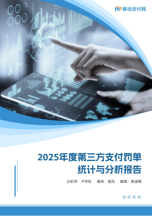 2025年度第三方支付罚单统计与分析报告