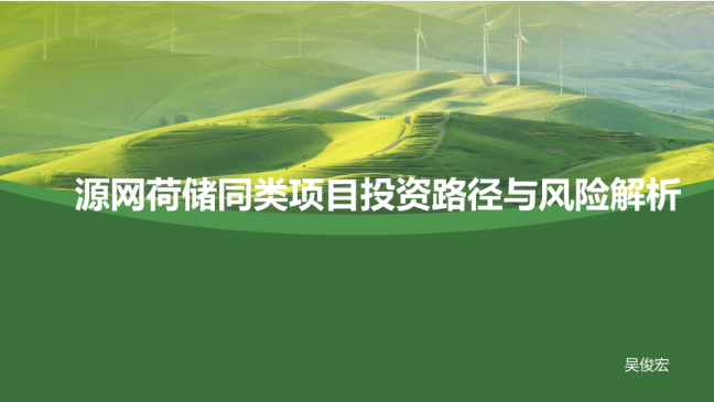 源网荷储同类项自投资路径与风险解析