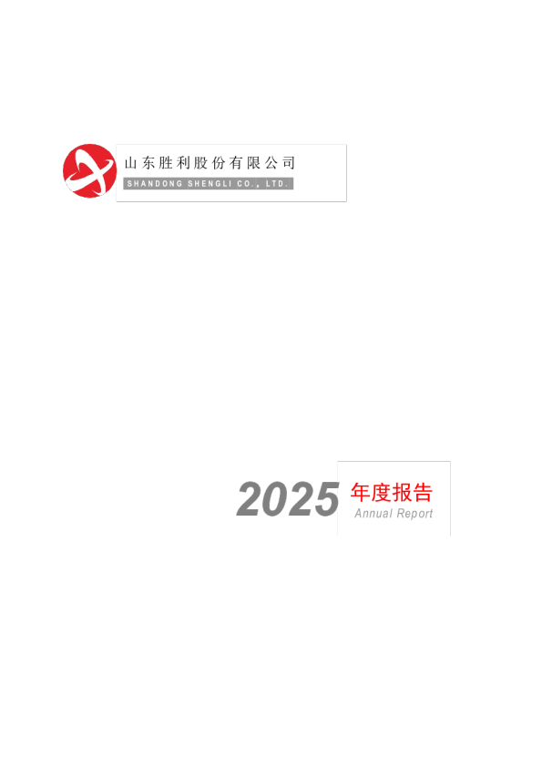 胜利股份：2025年年度报告