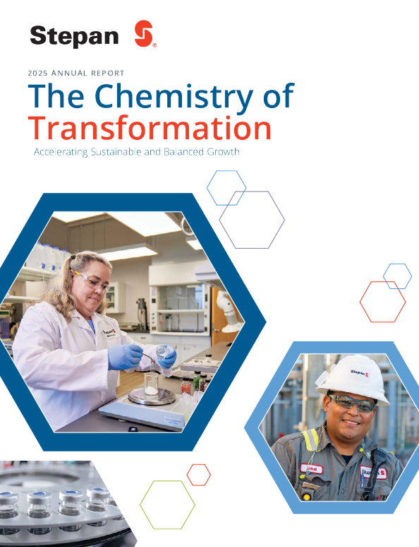 史提宾 2025年度报告