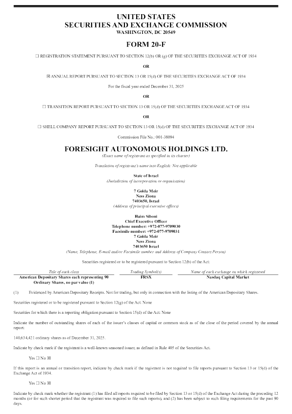 自动视角控股 2026年年度报告和过渡报告
