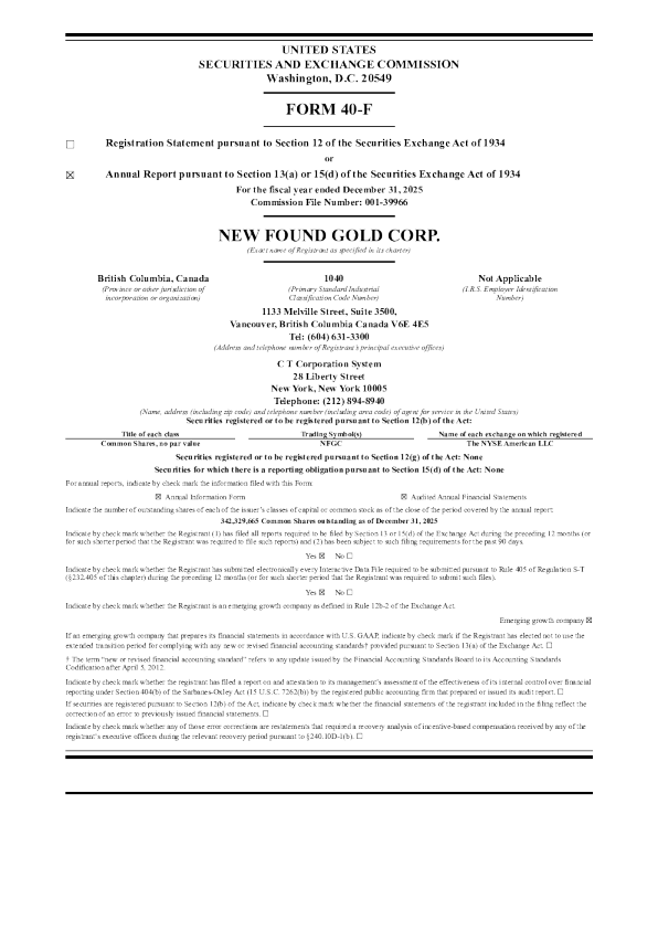 New Found Gold Corp 2025年度报告