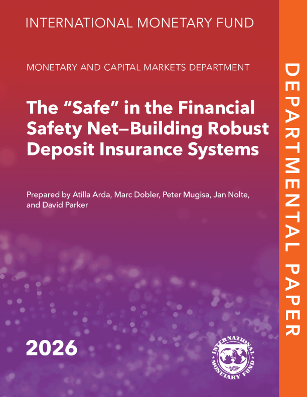 金融安全网中的“安全”：建立健全的存款保险制度