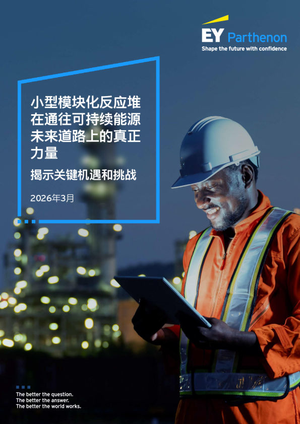 小型模块化反应堆在通往可持续能源未来道路上的真正力量:揭示关键机遇和挑战