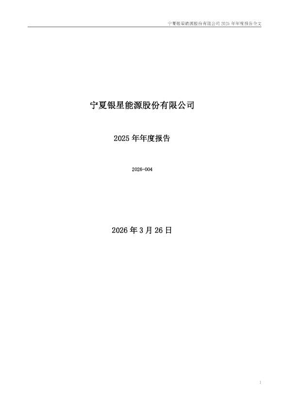 银星能源：2025年年度报告