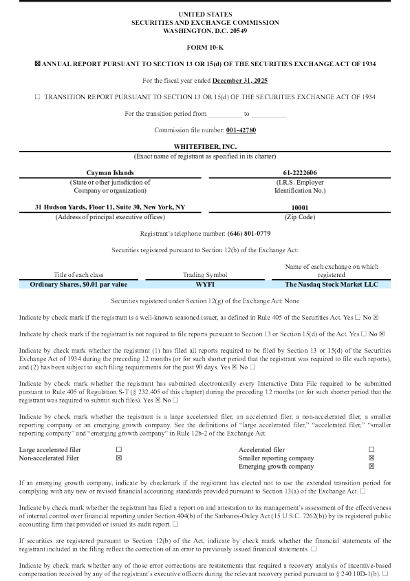 WhiteFiber Inc 2025年度报告