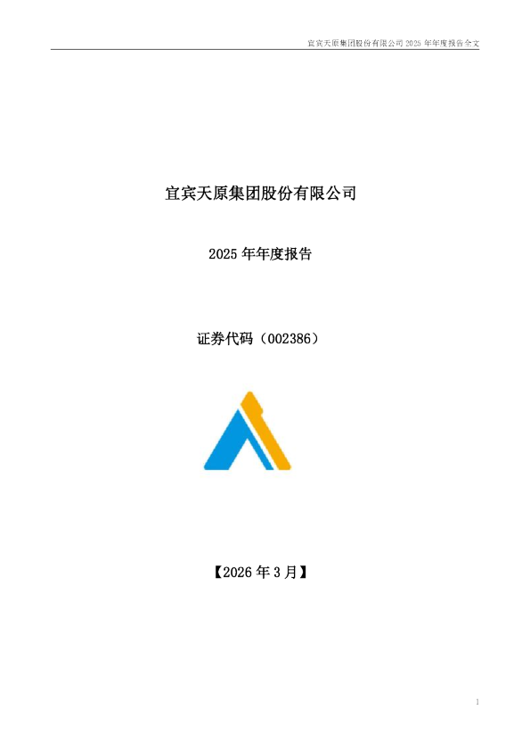 天原股份:2025年年度报告