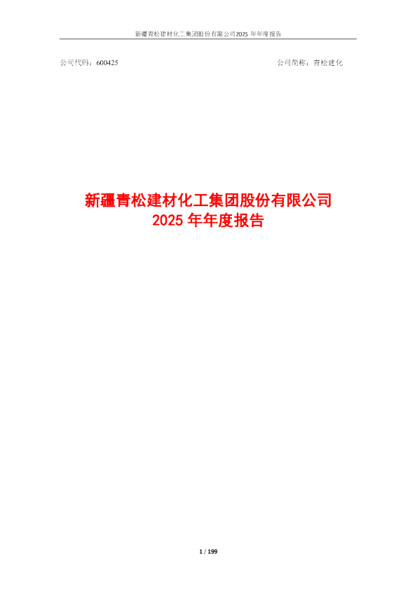 青松建化：青松建化2025年年度报告