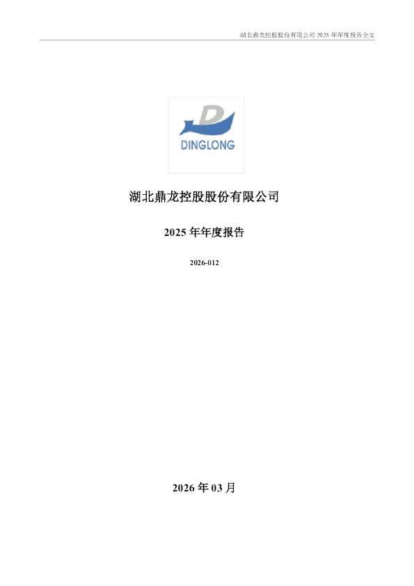 鼎龙股份：2025年年度报告